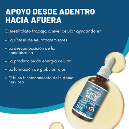 Metilfolato 5mthf